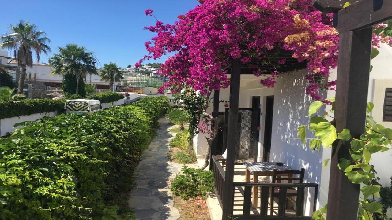 Salinas Beach Hotel Bodrum EXCLUSIVE #6