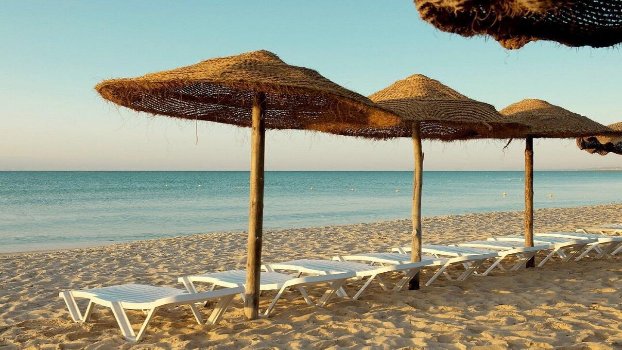 Sentido Phenicia Superior - снимка 12 Sentido Phenicia Superior - снимка 12