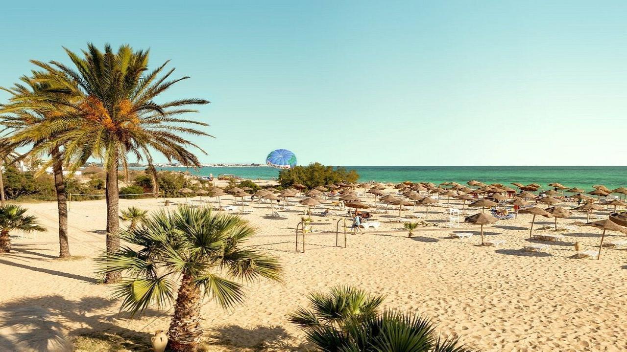 Sentido Phenicia Superior - снимка 11 Sentido Phenicia Superior - снимка 11