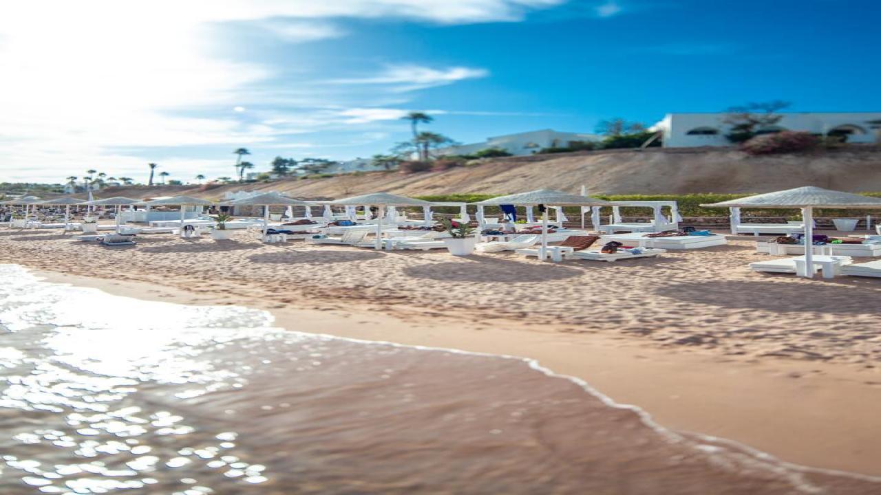 Domina Coral Bay Resort Standard #6